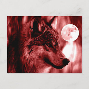 Wolf & Moon Postcard