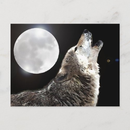 Wolf  Moon Postcard