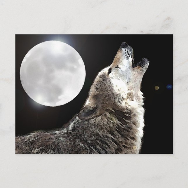 Wolf & Moon Postcard (Front)