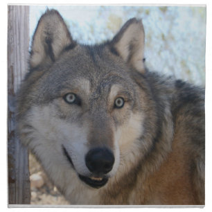 Wolf Mountain Sanctuary - Istas Cloth Napkins
