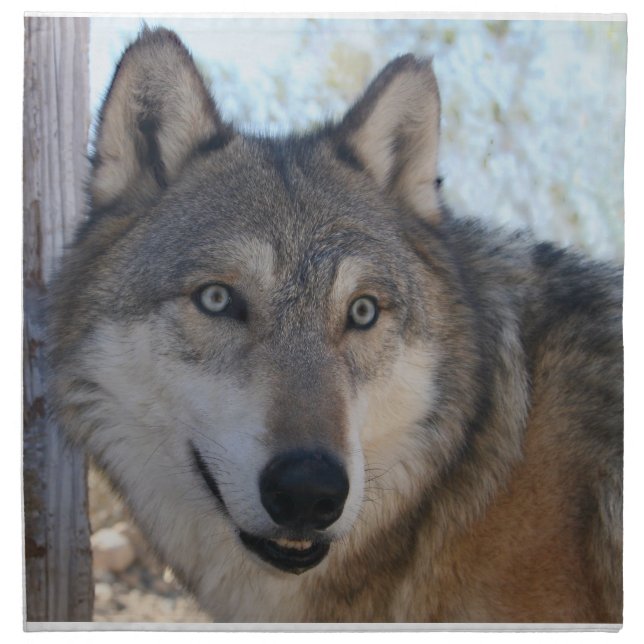 Wolf Mountain Sanctuary - Istas Cloth Napkins (Front)