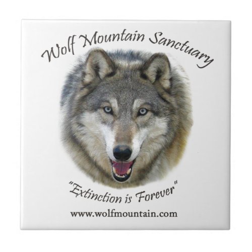 Wolf Mountain Sanctuary _ Istas Tile