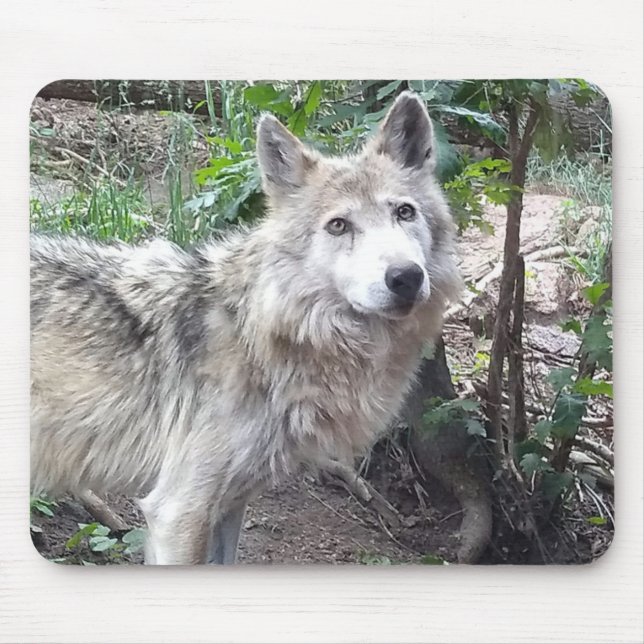 Wolf Mousepad (Front)