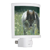 Wolf Night Light (Right)