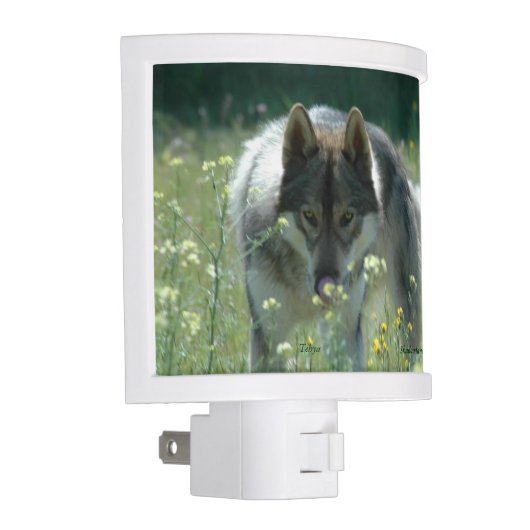 Wolf Night Light (Right)