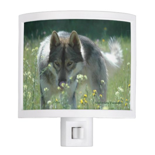 Wolf Night Light (Front)