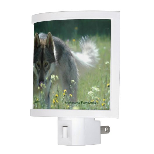 Wolf Night Light (Left)