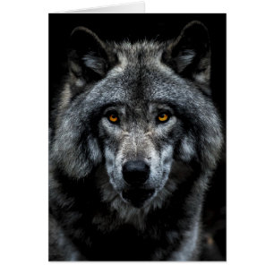 Wolf Orange Eyes Wild Animal Nature Cards