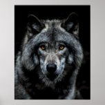 Wolf Orange Eyes Wild Animal Nature Poster at Zazzle