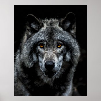 Wolf Orange Eyes Wild Animal Nature Poster by HappyWishingWell at Zazzle