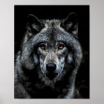 Wolf Orange Eyes Wild Animal Nature Poster<br><div class="desc">Poster prints 8"x10" - you can change size if you want. Instant download, a great way to harmonize with the energy of the Wolf. A mysterious creature, the wolf thrives in folklore and modern environmentalism in many countries throughout the world. This handsome wolf has orange eyes. Your choice of tshirt...</div>