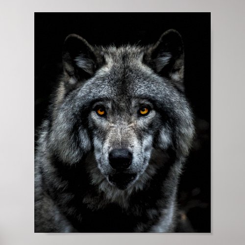 Wolf Orange Eyes Wild Animal Nature Poster