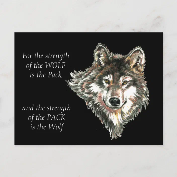 Wolf Pack Family Strength Quote Watercolor Animal Postcard Zazzle Com