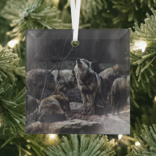 Wolf Pack Glass Ornament