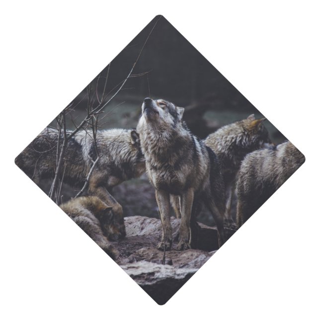 Wolf Pack Graduation Cap Topper (Front)