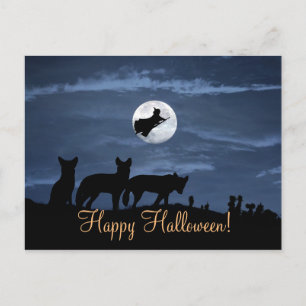 Wolf Pack Happy Halloween Witch Postcard