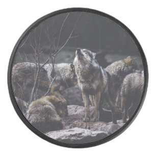 Wolf Pack Hockey Puck