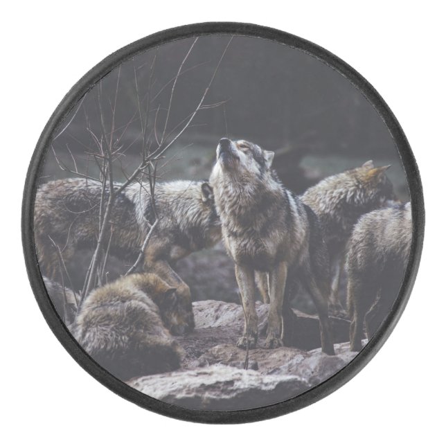 Wolf Pack Hockey Puck (Front)