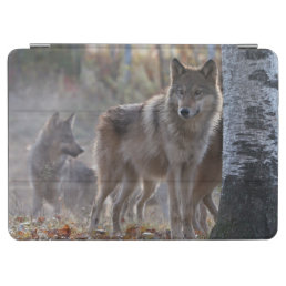 Wolf pack iPad air cover
