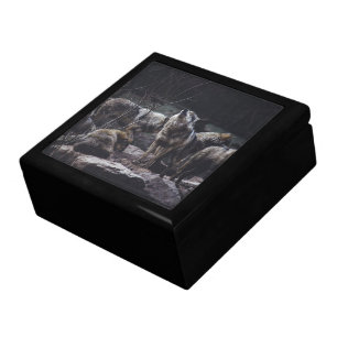 Wolf Pack Jewelry Box