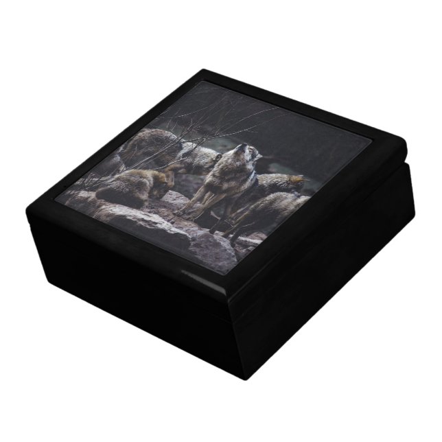 Wolf Pack Jewelry Box (Side)