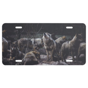 Wolf Pack  License Plate