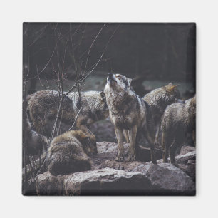 Wolf Pack Magnet
