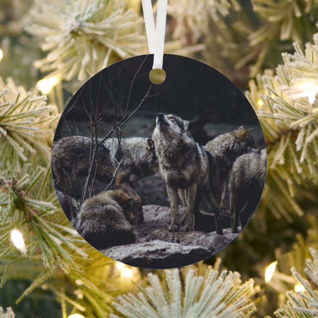 Wolf Pack Metal Ornament (Insitu)