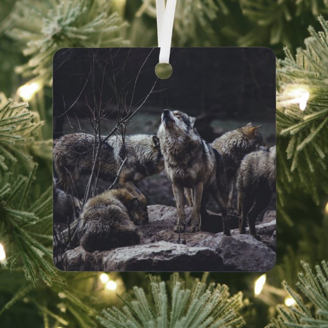 Wolf Pack Metal Ornament (Insitu)