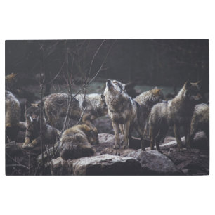 Wolf Pack Metal Print
