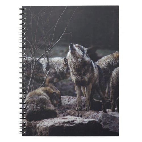 WOLF PACK ON ROCK FORMATION NOTEBOOK