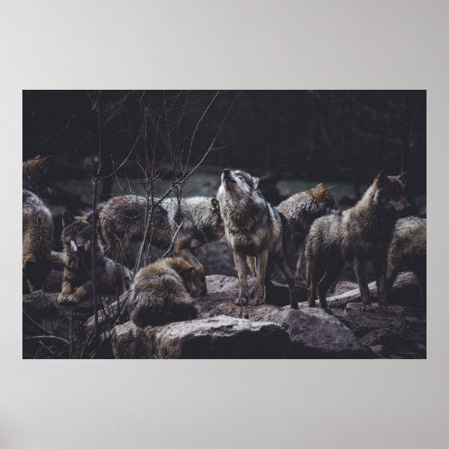 WOLF PACK ON ROCK FORMATION POSTER