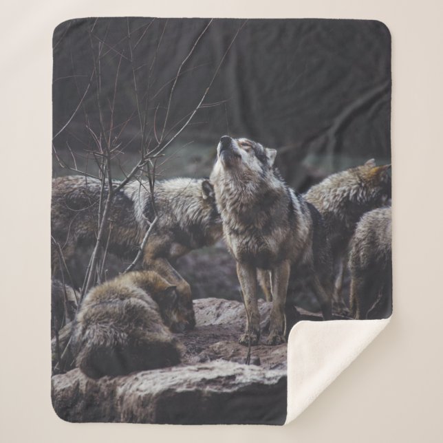 WOLF PACK ON ROCK FORMATION SHERPA BLANKET (Front)