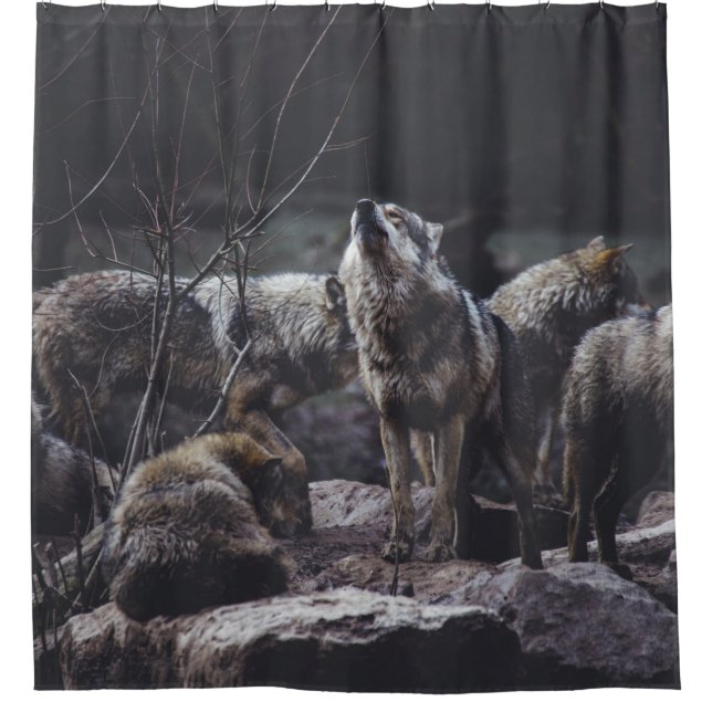 WOLF PACK ON ROCK FORMATION SHOWER CURTAIN (Front)