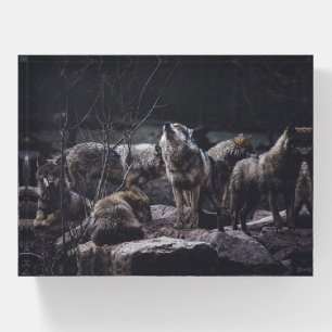 Wolf Pack Paperweight