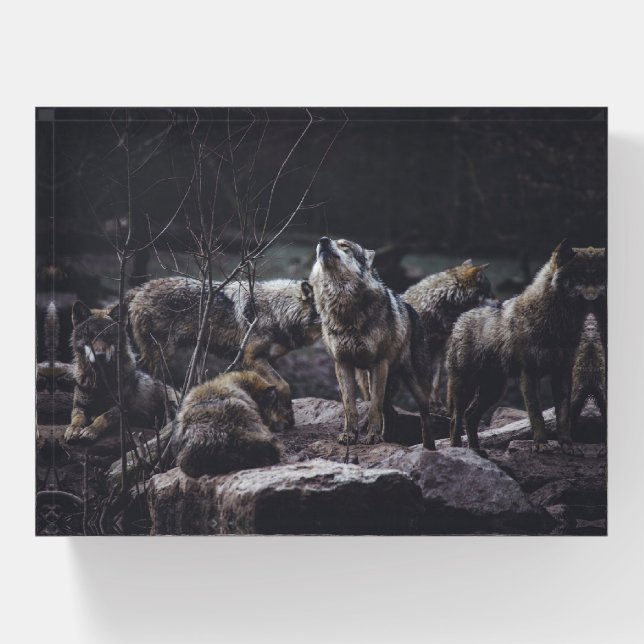 Wolf Pack Paperweight (Front)