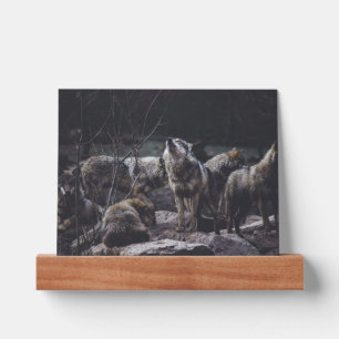 Wolf Pack Picture Ledge