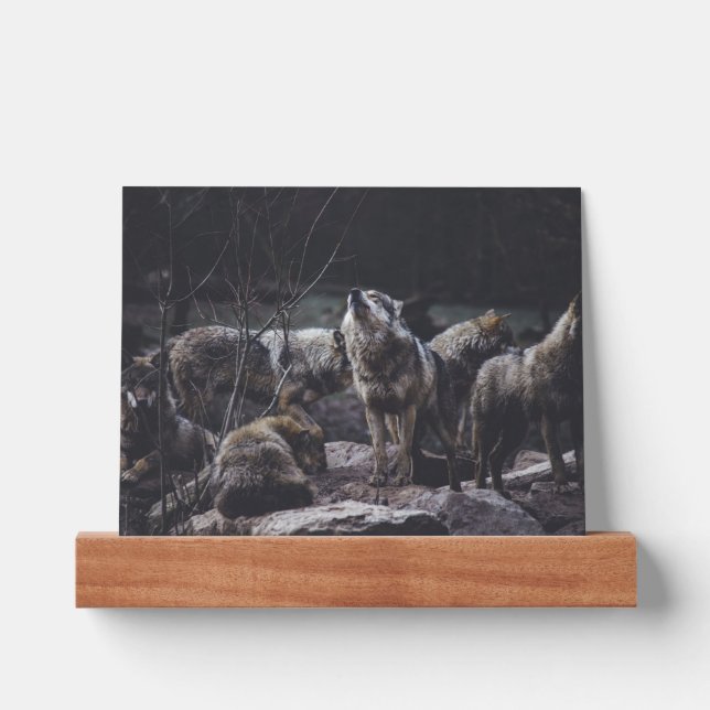 Wolf Pack Picture Ledge (Front)