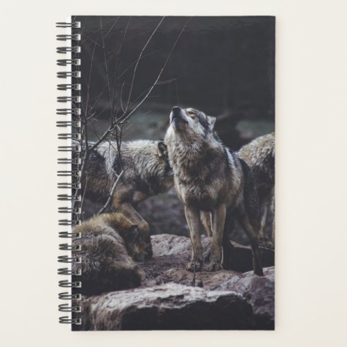 Wolf Pack Planner