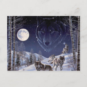 Wolf Pack Postcard
