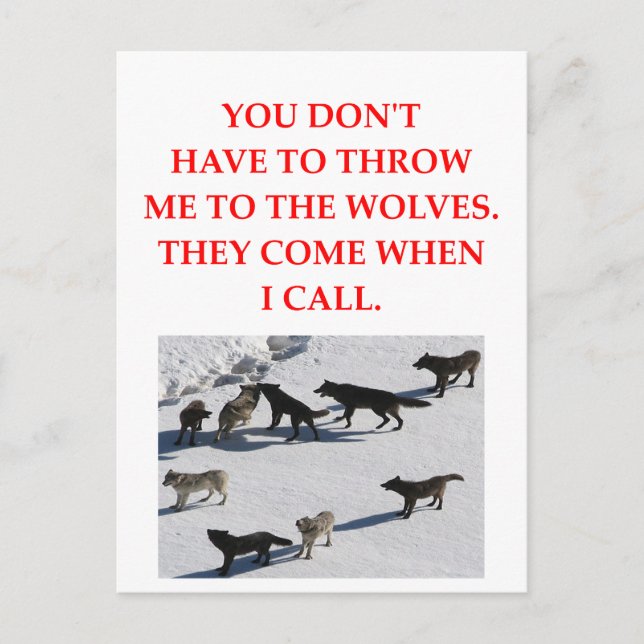 wolf pack postcard (Front)