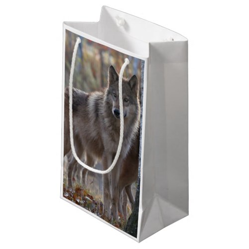 Wolf pack small gift bag