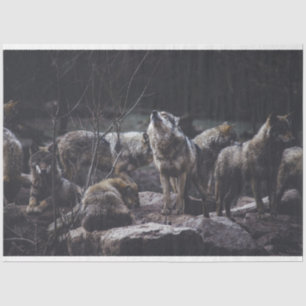 Wolf Pack Tissue Paper