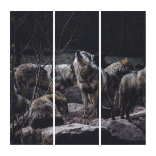 Wolf Pack Triptych
