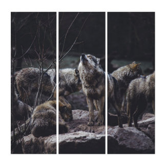 Wolf Pack Triptych