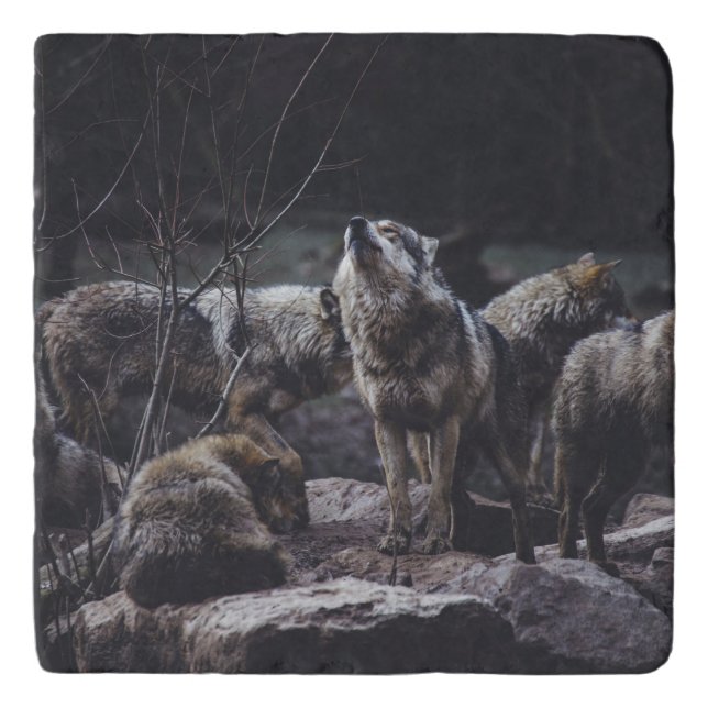 Wolf Pack Trivet (Front)