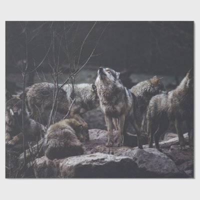 Wolf Pack Wrapping Paper