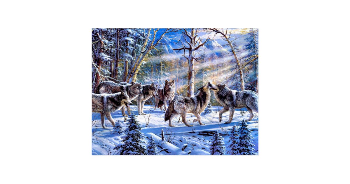 Wolf Painting Wolf Art Wolf Illustration Postcard Zazzle Com