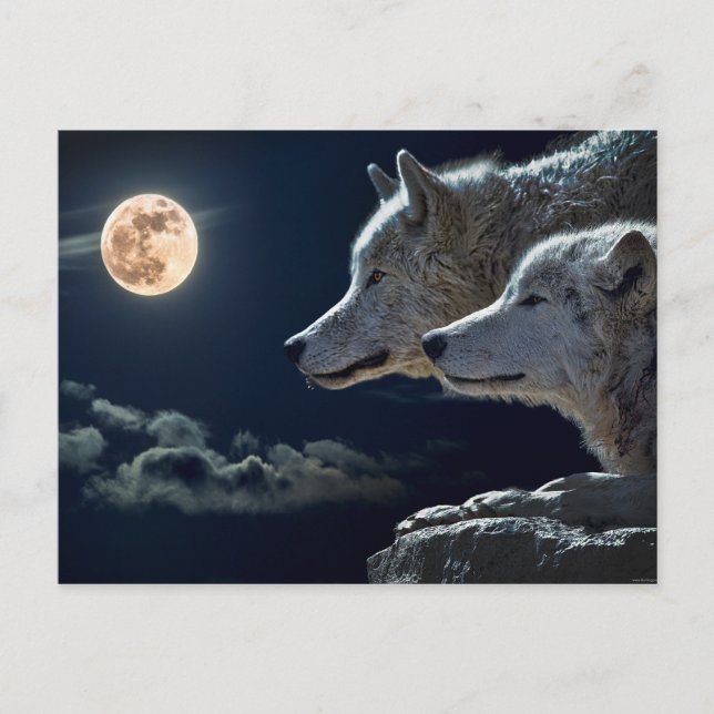 Wolf Pair Moon Night Gothic Fantasy Postcard (Front)