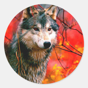 Wolf peeking through leaves in a forest classic round sticker